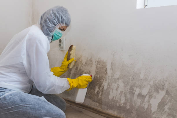 Mold Removal Process in Margate City, NJ